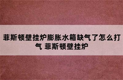 菲斯顿壁挂炉膨胀水箱缺气了怎么打气 菲斯顿壁挂炉